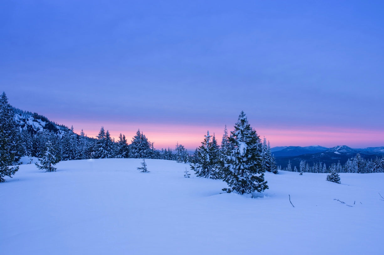 Pastel Winter in Scandinavia