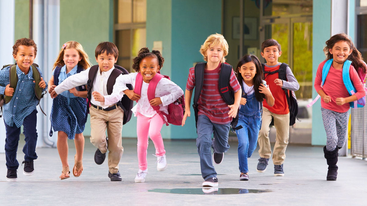 Back-to-School with Gnome: Helping Kids Navigate New Beginnings and Family Changes