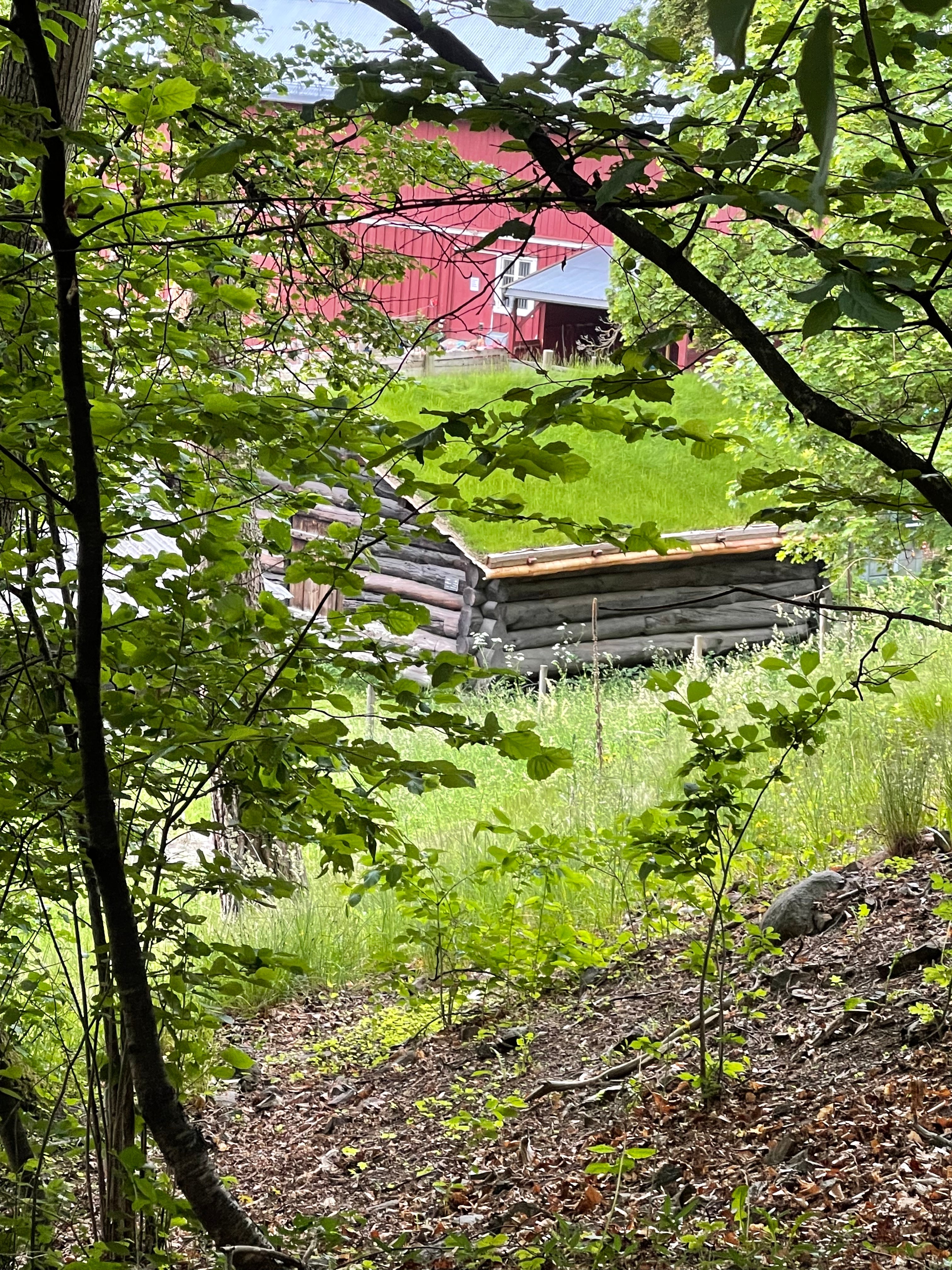 Cultural Gems of Bygdøy: Exploring the Norsk Folkemuseum and Beyond